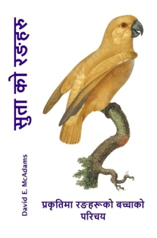 Cover of सुता को रङहरु