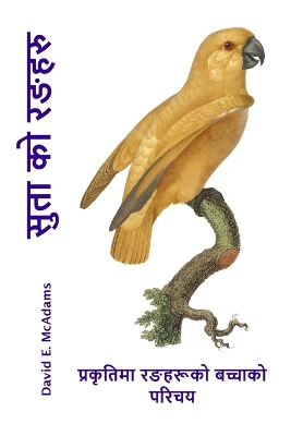 Cover of सुता को रङहरु