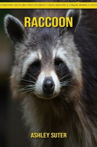 Cover of Raccoon