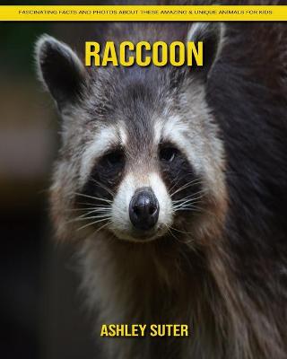 Book cover for Raccoon