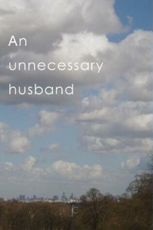 Cover of An Unnecessary Husband