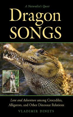 Book cover for Dragon Songs