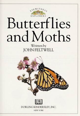 Cover of Butterflies and Moths