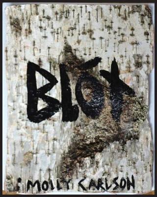 Cover of Blot
