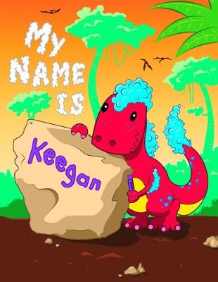 Book cover for My Name is Keegan