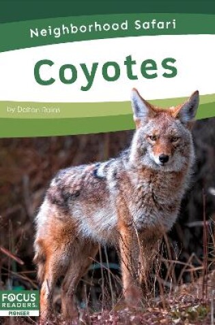 Cover of Neighborhood Safari: Coyotes