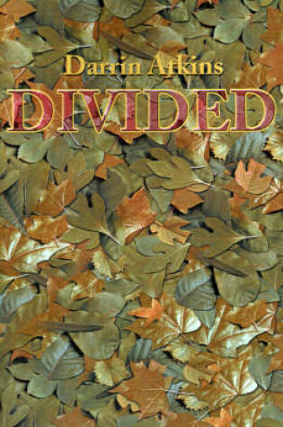 Cover of Divided