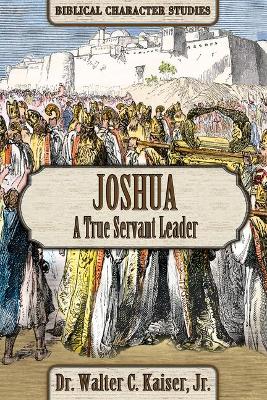 Book cover for Joshua