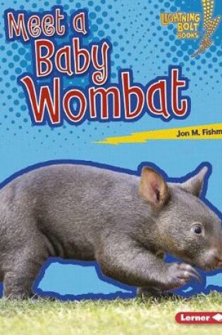Cover of Meet a Baby Wombat
