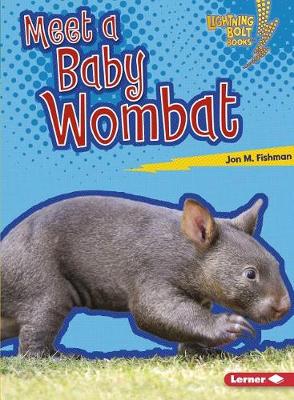 Book cover for Meet a Baby Wombat