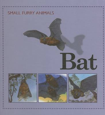 Cover of Bat