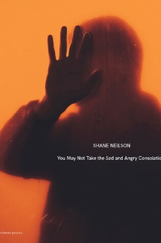 Cover of You May Not Take the Sad and Angry Consolations