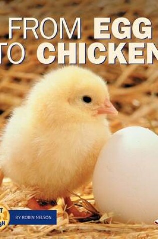 Cover of From Egg to Chicken