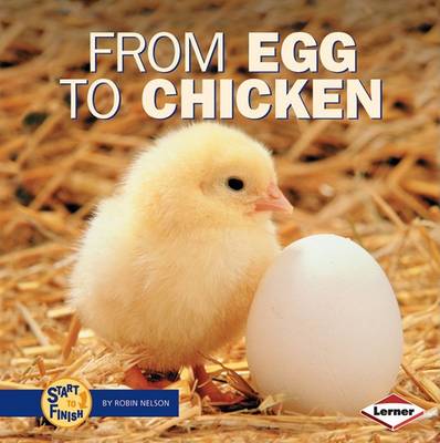 Cover of From Egg to Chicken