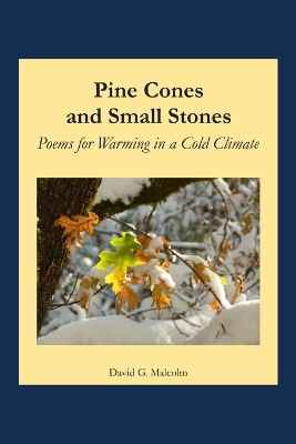 Book cover for Pine Cones and Small Stones