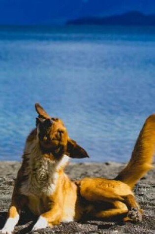 Cover of Happy Dog at the Lake