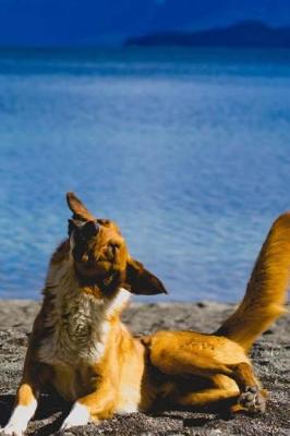 Book cover for Happy Dog at the Lake