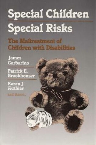 Cover of Special Children, Special Risks