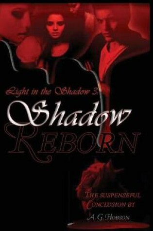 Cover of Light in the Shadow 3