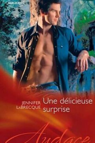 Cover of Une Delicieuse Surprise