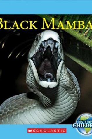 Cover of Black Mambas