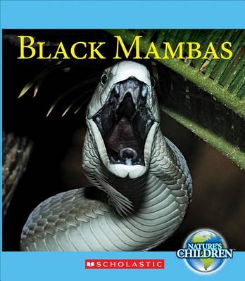 Cover of Black Mambas