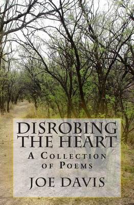 Book cover for Disrobing the Heart