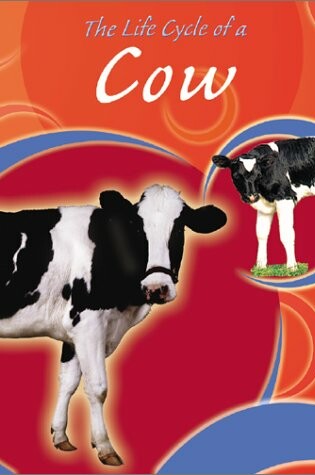 Cover of The Life Cycle of a Cow