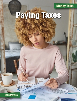 Book cover for Paying Taxes