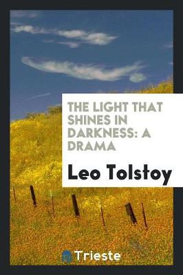 Book cover for The Light That Shines in Darkness