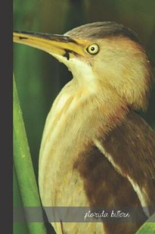Cover of florida bittern