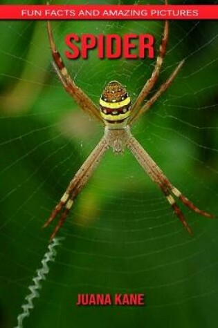 Cover of Spider