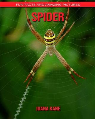 Book cover for Spider