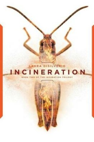 Cover of Incineration