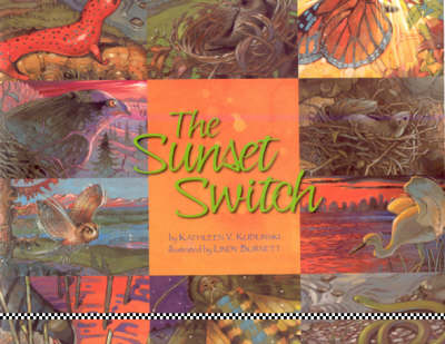 Book cover for The Sunset Switch