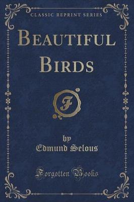 Book cover for Beautiful Birds (Classic Reprint)