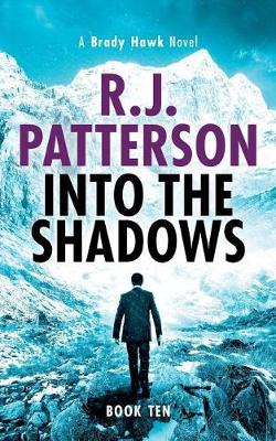 Book cover for Into the Shadows