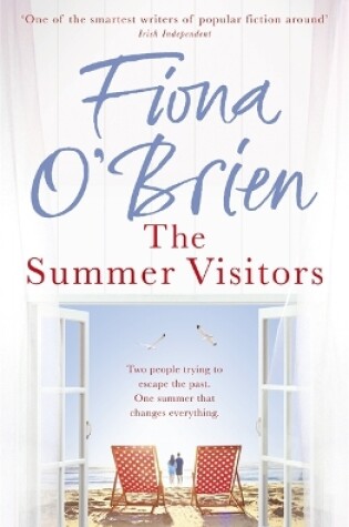 Cover of The Summer Visitors