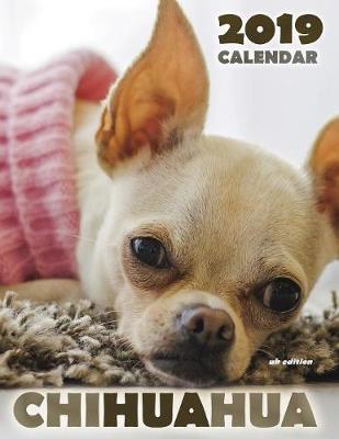 Book cover for Chihuahua 2019 Calendar (UK Edition)