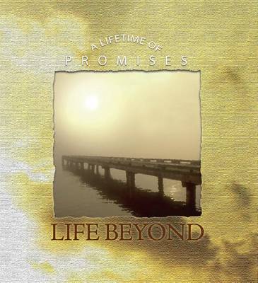 Book cover for Life Beyond