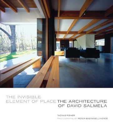 Book cover for The Invisible Element of Place