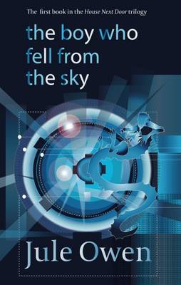 Book cover for The Boy Who Fell from the Sky