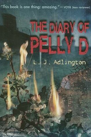 Cover of The Diary of Pelly D