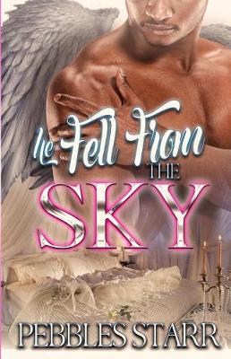 Book cover for He Fell From The Sky