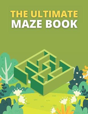 Book cover for The Ultimate Maze Book