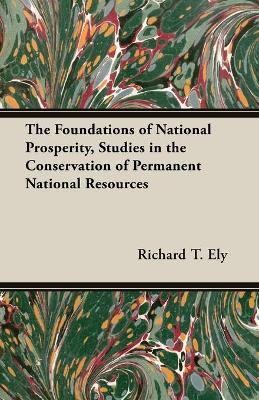 Book cover for The Foundations of National Prosperity, Studies in the Conservation of Permanent National Resources