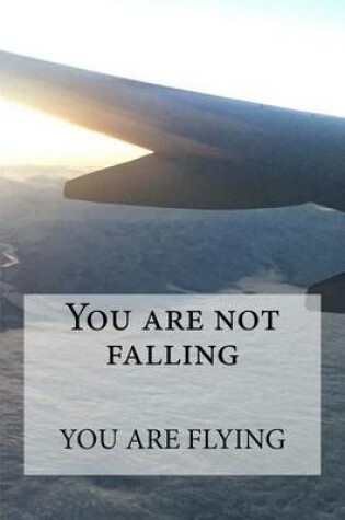 Cover of You are not falling