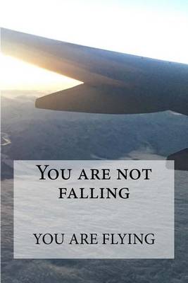 Book cover for You are not falling