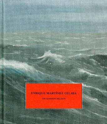 Book cover for Enrique Martinez Celaya