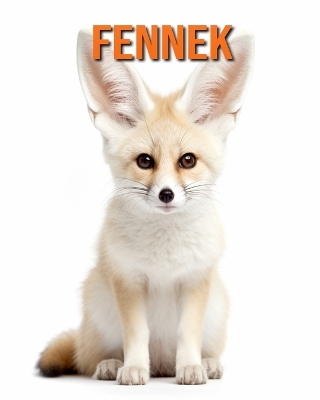 Book cover for Fennek